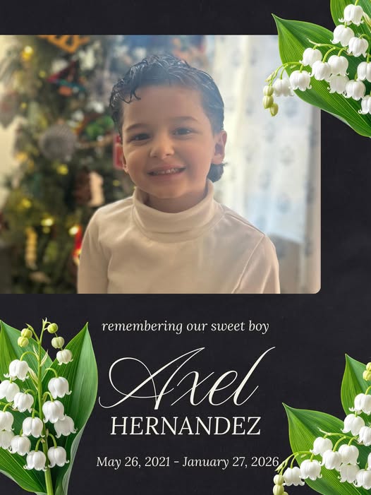 Axel Hernandez Rochester, NY Death: Hernandez Demitria D MD Mourns Beloved Son